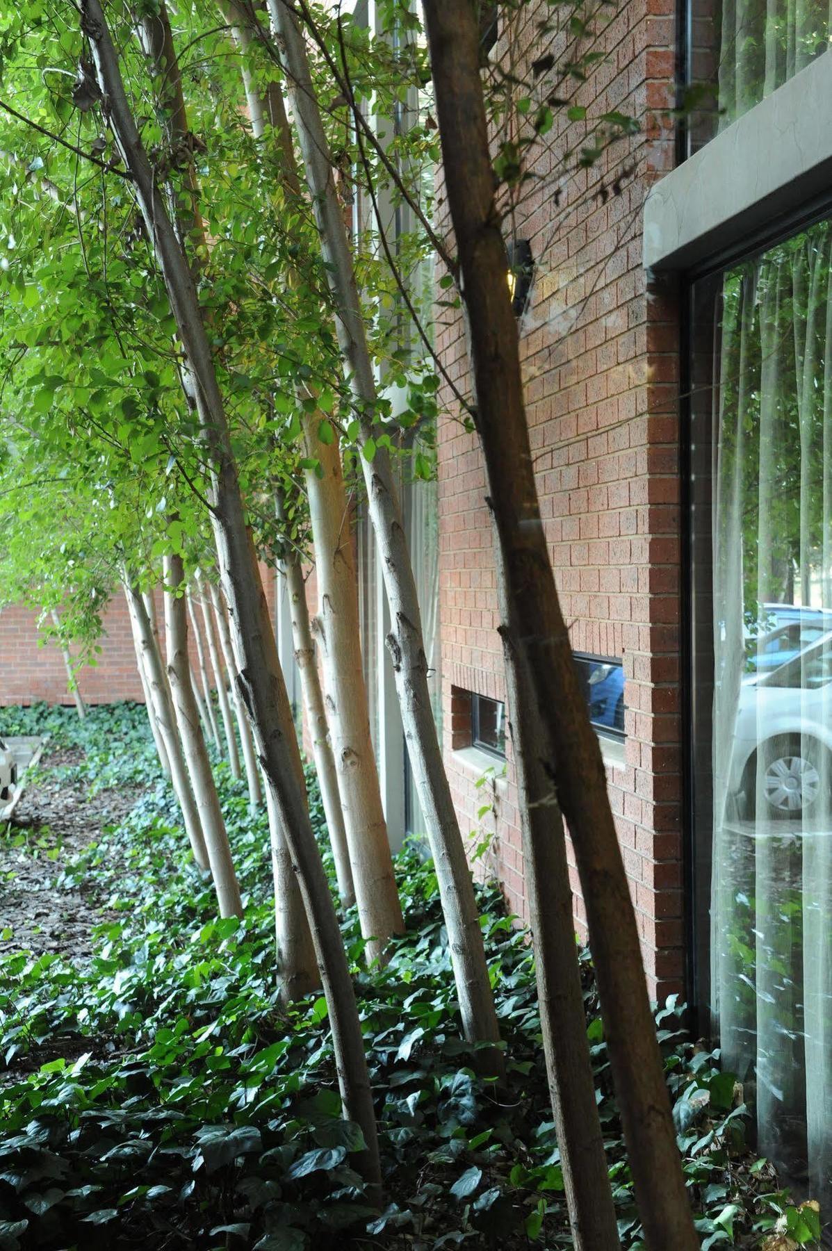 Aha Kathu Hotel Exterior photo